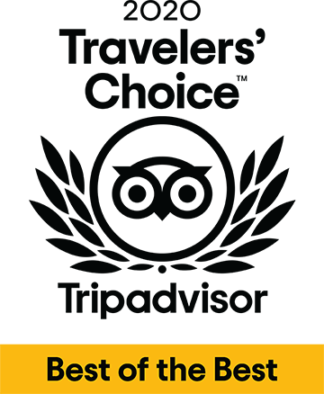 travelers' choice award 2020